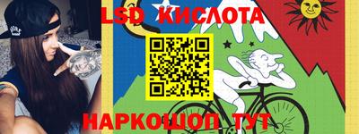 крисы Шахты