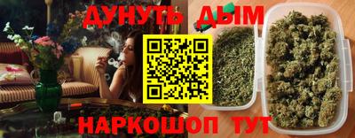 крисы Шахты