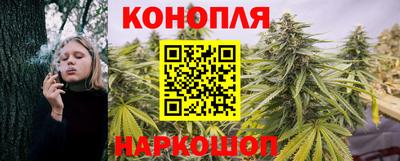 стаф Ярославль