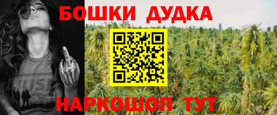 дмт Шебекино