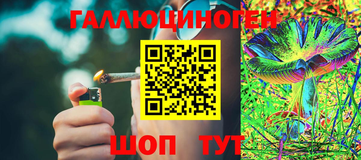 Галлюциногенные грибы Psilocybe  Вход с VPN  Белебей 